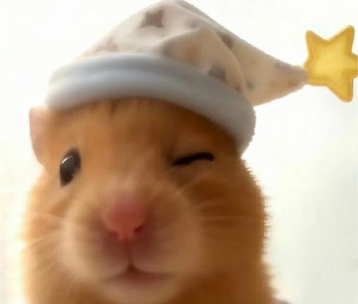 https://media.bunjang.co.kr/product/424536887_1_1786927967_w{res}.jpg